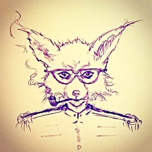 Le renard masqué est big volpone Je suis Big Volpone - de l'association Le Renard Masqué