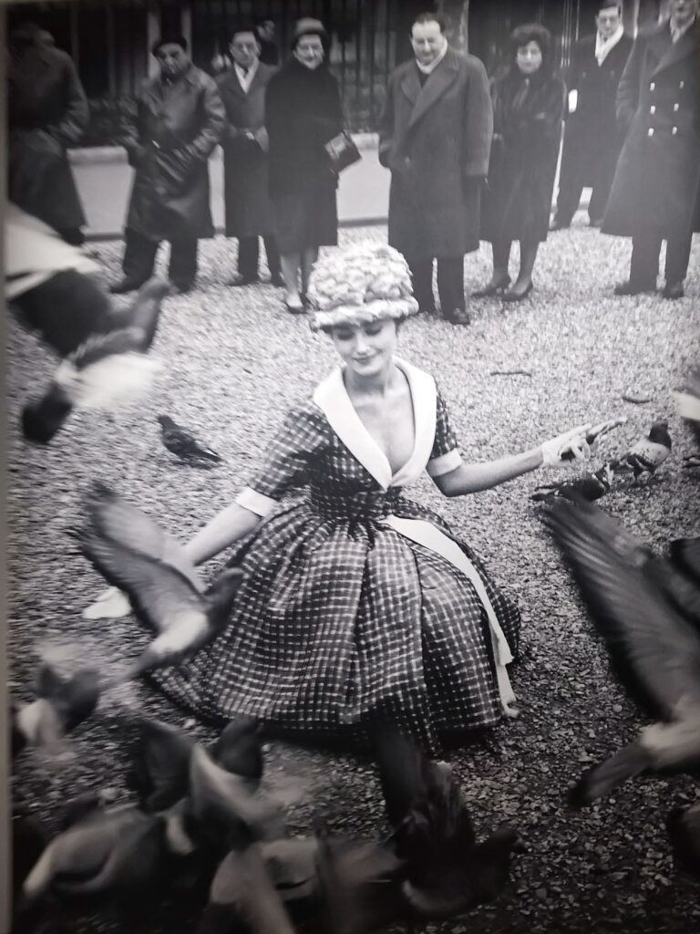 Robe Nina Ricci et pigeons au vol - Frank horvat